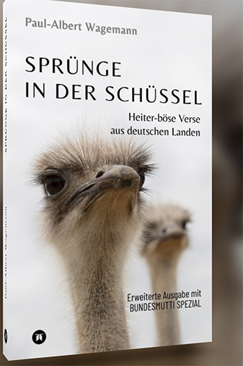 Sprünge in der Schüssel. Heiter-böse Verse aus deutschen Landen